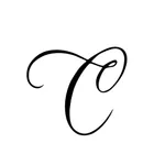 The Confidence Concept icon