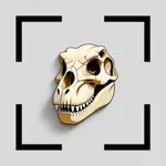 Fossil Identifier: FossilScope icon