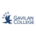 Gavilan Safe icon