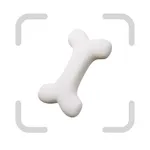 Bone Identifier: AI Scanner icon