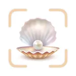 Sea Shell Identifier - Shellie icon