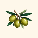 Cyprusays® Learn Cypriot Greek icon