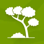 Tree Identifier: Flora Scanner icon
