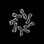 Stela - AI Photo Generator icon