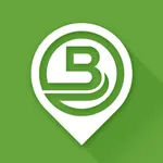Biciway icon