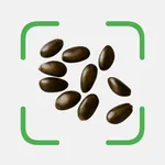 Seed Id: Seed Identifier icon