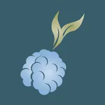 DMV Mulberrys Garment Care icon