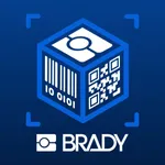BradyScan icon