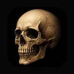 Memento Mori - Countdown icon
