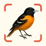 Bird Identifier AI – Birdpicx icon