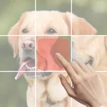 Custom Puzzle Slide icon