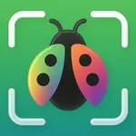 Picture Insect: Bug ID icon