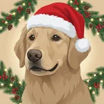 Vet Assistant & Dog Care・Zumy icon