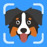DogSpeak AI icon