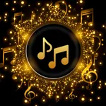 Pi Music Player icon