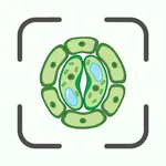 Biology AI: Homework Helper icon