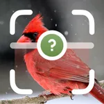 Bird Identifier: Birding ID icon
