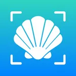 Sea Shell Identifier - AI ID icon