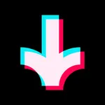 Tik Saver: Instant Save Video icon