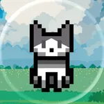 Belly: Cute Virtual Watch Pet icon