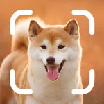 Dog Breed Identifier - Pet Pro icon