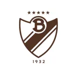Bohemios icon