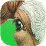 إدارة المواشي icon