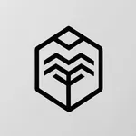 EsteemForge - Grow self-esteem icon