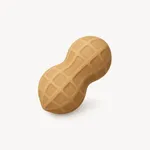 Peanote - AI Voice Notes icon