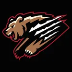 Grizzlies Game Day icon