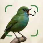 Bird Call Identification App icon