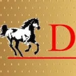 Drivigo  Chauffeur privé Paris icon