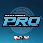 BoostSpeed Pro icon
