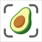 CalSnap - Calorie Counter AI icon