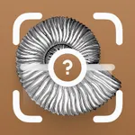 Fossil Identifier: Remnant AI icon