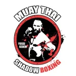 Shadow Boxing icon