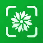 Plant Diagnosis - Doctor Green icon