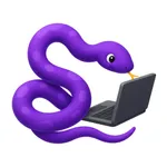 Leetcode Coding Practice icon