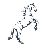 Konik - internetowy kantor icon