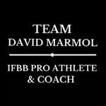 TEAM DAVID MÁRMOL icon