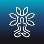 Chakragram: Human Design App icon