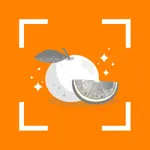 Cal Diet - AI Calorie Tracker icon