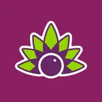 SAMBAZON Açaí Bowls icon