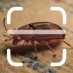 Bug Identifier: Scanner Insect icon