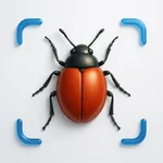 Bug Identifier: Bugs & Spiders icon