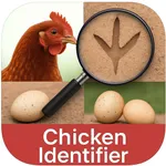 chicken identifier icon