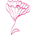 Lifestyle and Hormones icon