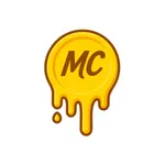 MeltingCoin - Expense Tracker icon