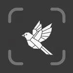 Bird Identifier - Birdie icon