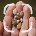 Identifier: Seed icon